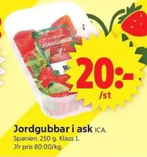 Jordgubbar