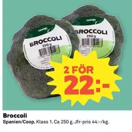 Coop - Broccoli