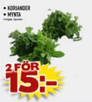 Koriander & Mynta