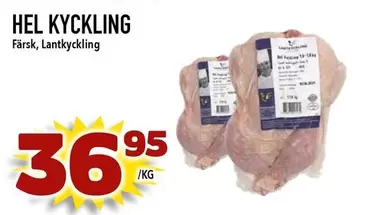 HEL KYCKLING