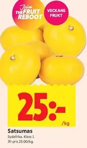 Satsumas