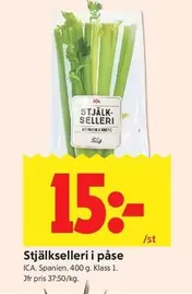 Stjälkselleri