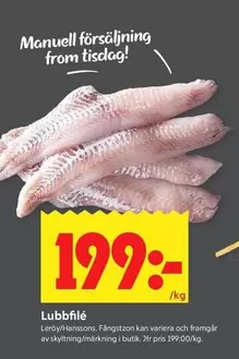 Lubbfilé