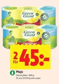 Giant - Majs