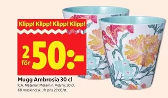 Mugg Ambrosia 30 cl