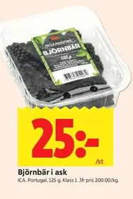 Björnbär