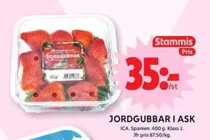 JORDGUBBAR I ASK