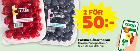 Coop - Färska blåbär/hallon