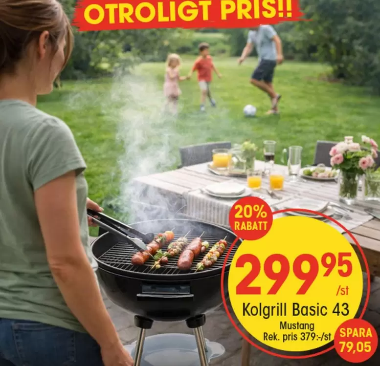 Kolgrill Basic 43