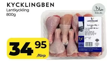 Kycklingben Lantkyckling