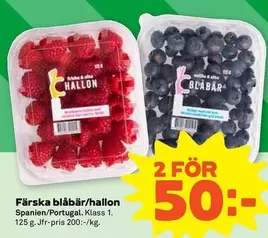 Blåbär/Hallon