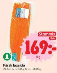 Färsk laxslida
