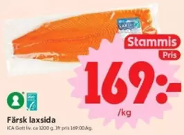 Färsk laxsida
