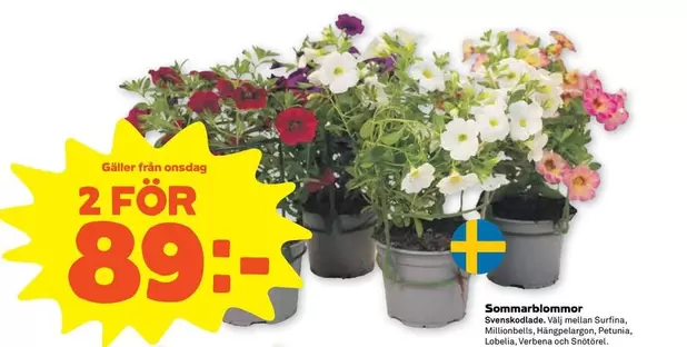 Sommarblommor