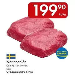 Scan - Nötinnanlår