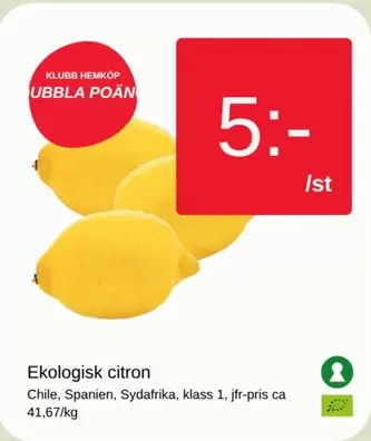 Ekologisk citron