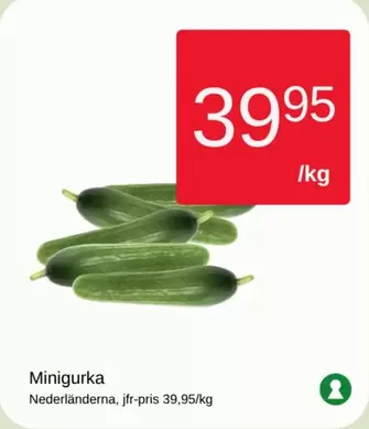 Minigurka