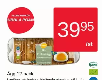 Ägg 12-pack