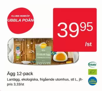 Ägg 12-pack