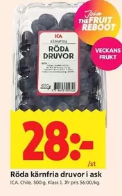 Röda druvor
