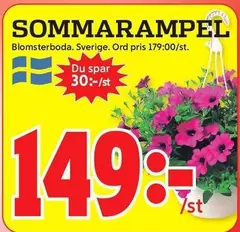 SOMMARAMPEL