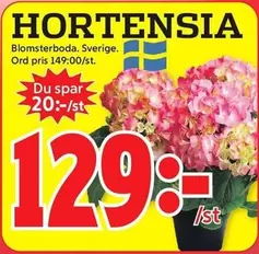 HORTENSIA