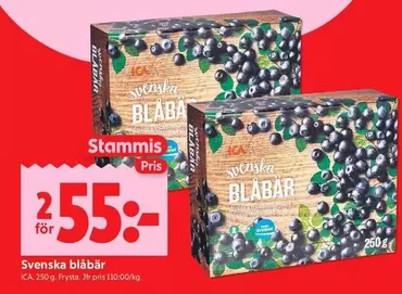 Svenska Blåbär