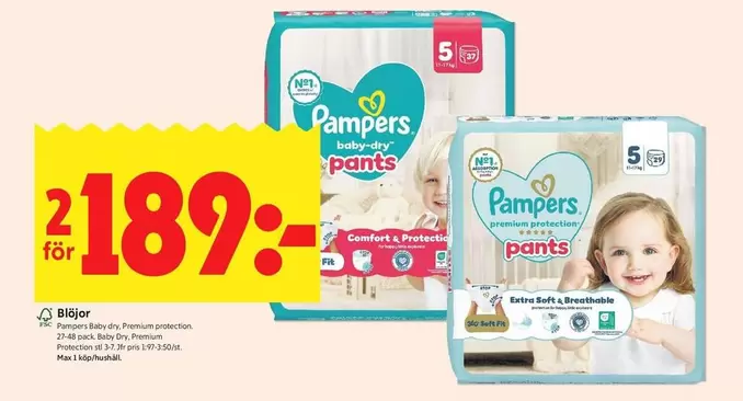 Pampers - Baby-dry Pants