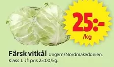 Färsk vitkål