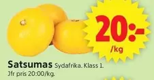 Satsumas