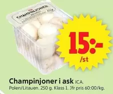 Champinjoner
