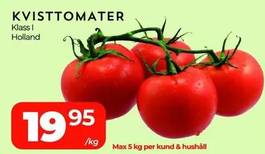 KVISTTOMATER