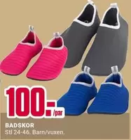 BADSKOR