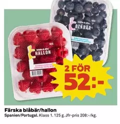 Färska blåbär/hallon