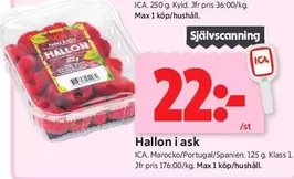 Hallon i ask