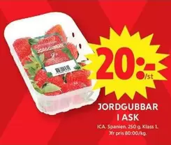 JORDGUBBAR