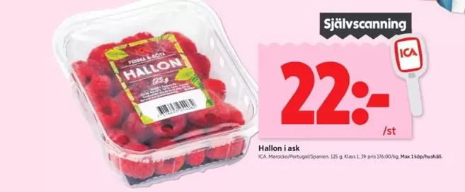 Hallon