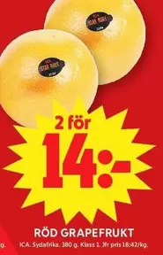 RÖD GRAPEFRUKT