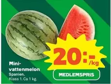 Mini vattenmelon