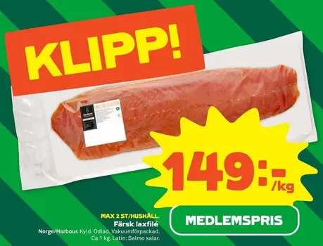 Färsk laxfilé