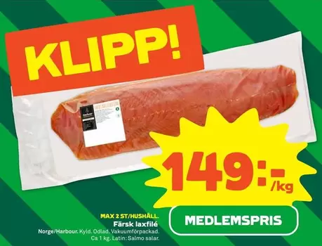 Färsk laxfilé