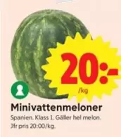 Minivattenmeloner
