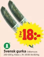 Svensk gurka