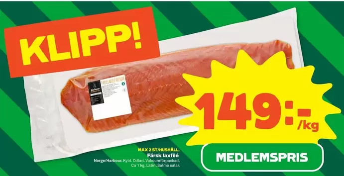 Färsk laxfilé