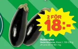 Aubergine
