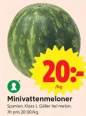 Minivattenmeloner