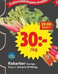 Rababer
