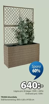 TRANA blomlåda