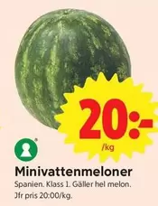 Minivattenmeloner