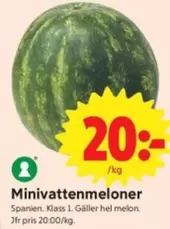 Minivattenmeloner